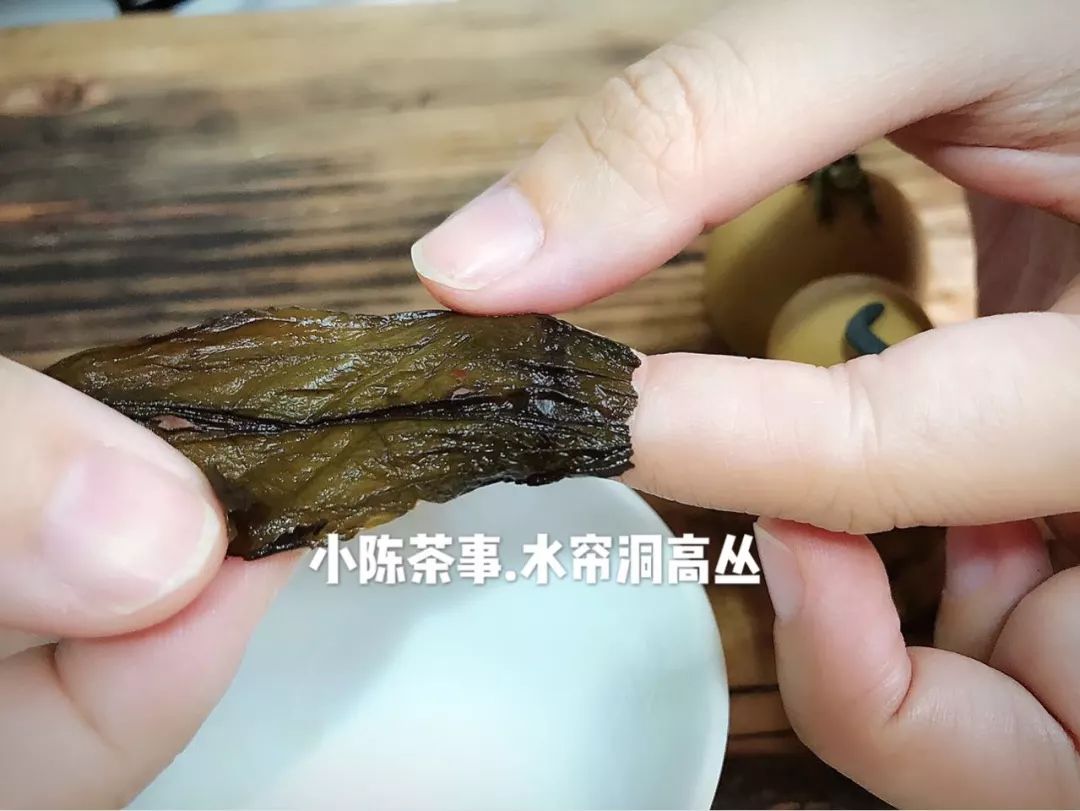 六种茶叶入门方法,茶叶叶底的秘密
