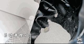 宠物猫自动喂食器推荐,宠物猫智能喂食器和智能喂水器