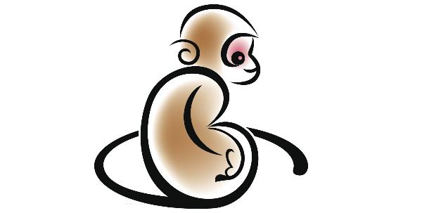 1980属猴女2022年运势运程,1992年属猴的2022全年运势