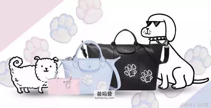 囧！LV、Gucci、Dior的狗年限量款！你们考虑过狗的感受吗？