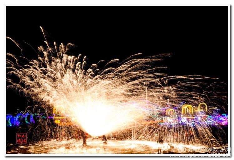 鄢陵花木博览会现场直播,鄢陵县西山区中原花木博览会