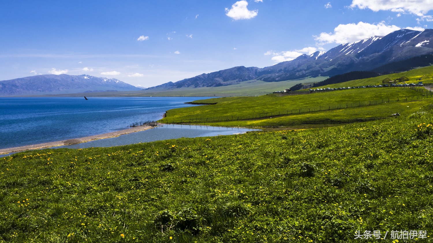 美丽的赛里木湖风景图片,赛里木湖的美景