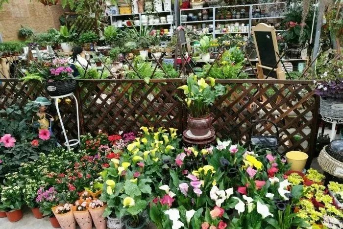 春节活动时间表大连,大连大型活动时间表