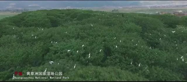 云南芳华取景点,云南蒙自市芳华拍摄地