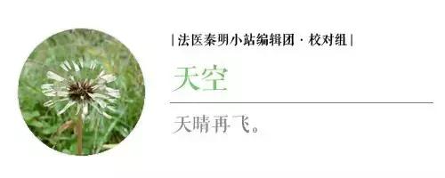 站在悬崖上的每个人，都以为自己只有一种选择