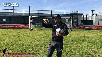 缃楃撼灏旇开灏煎ゥ鑳搁儴鍋滅悆闆嗛敠,缃楃撼灏旇开灏煎ゥ鑳搁儴鍋滅悆