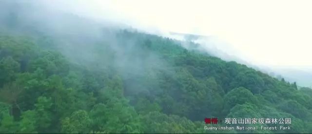 云南泸西春节旅游,泸西红高原