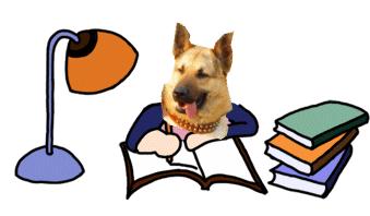 七下英语人教版第一单元易考点,人教版英语七下第一单元考点