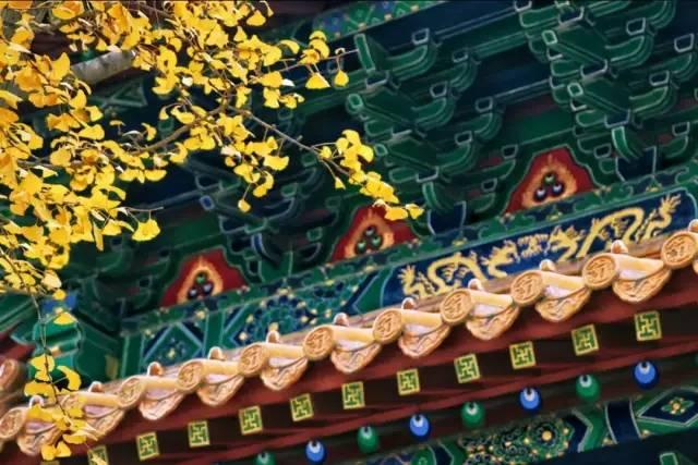 春晚四大分会场曝光，有个竟是“中国第一潜水地”！