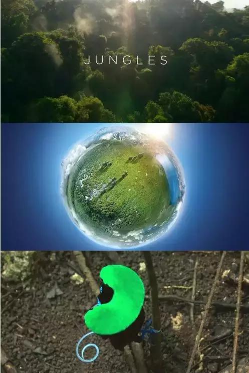 春节必备的10部电视剧,春节假期值得追看的十部电视剧