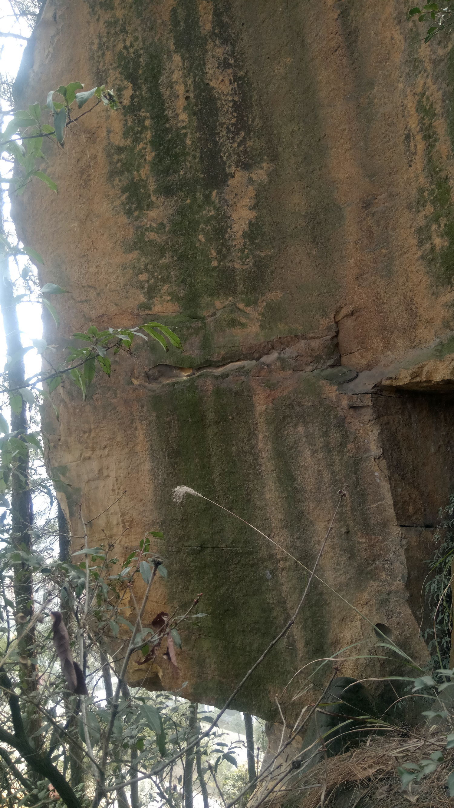 纯天然氧吧是锻炼的好地方,天然氧吧骑行好去处