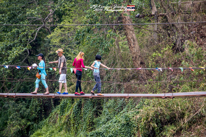 清迈佛寺之城等你采撷的泰北玫瑰,清迈环球旅行家