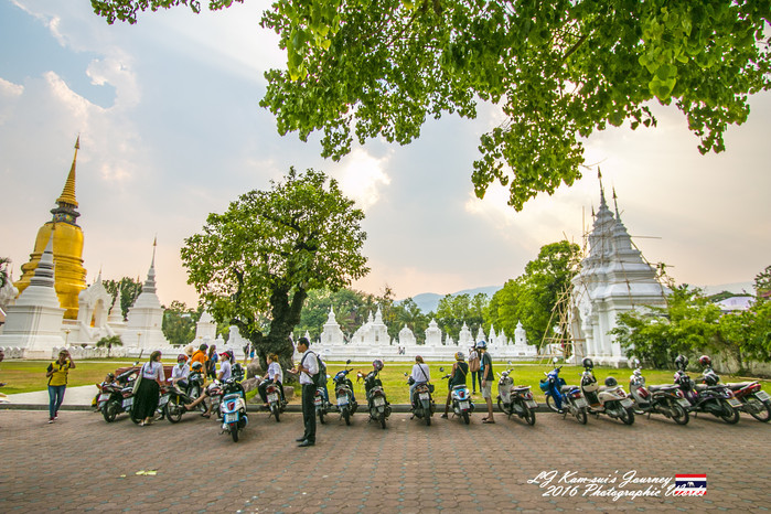 清迈佛寺之城等你采撷的泰北玫瑰,清迈环球旅行家