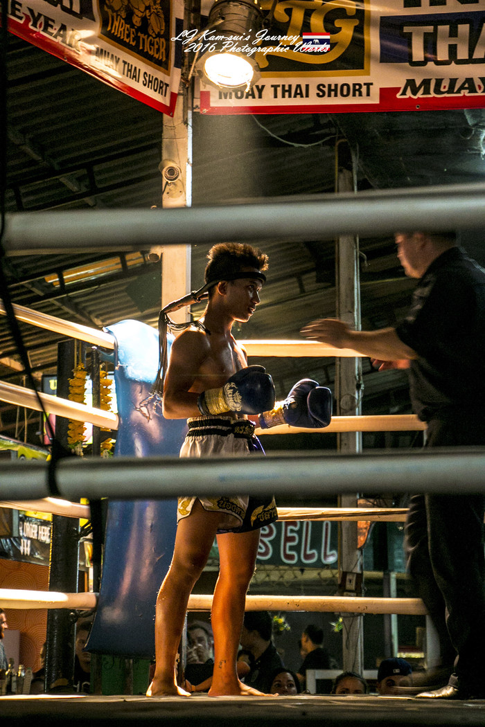 清迈佛寺之城等你采撷的泰北玫瑰,清迈环球旅行家