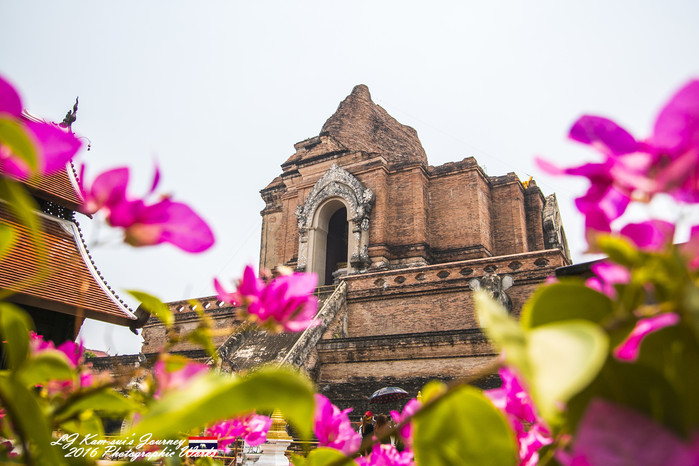 泰国清迈县旅行者,清迈佛寺之城等你采撷的泰北玫瑰