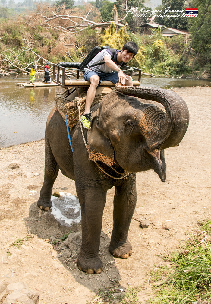 泰国清迈县旅行者,清迈佛寺之城等你采撷的泰北玫瑰