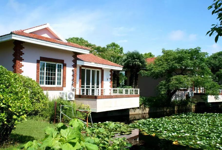 土著带你游东京,土著带你游重庆