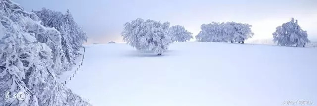 雪藏原版是谁,大兴安岭传奇