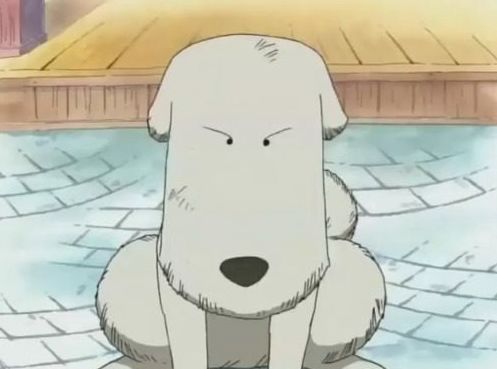 猜谜｜据说能通关的铲屎官堪称“万狗通”，最后一题出题者也不知道答案！等你来科普！