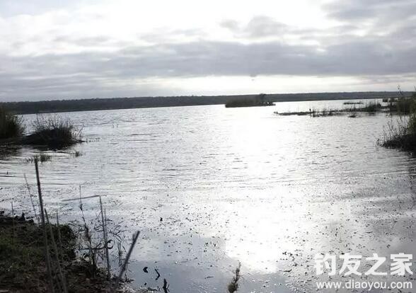 来自南非MongenaGameLodge的挑战(一)