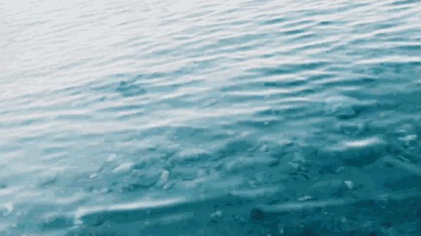 经常去旅行的人钱从哪来,去旅游的钱从哪里来的