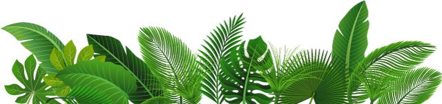 成年人牙齿腐烂发黑,女孩子19岁牙齿黑怎么回事