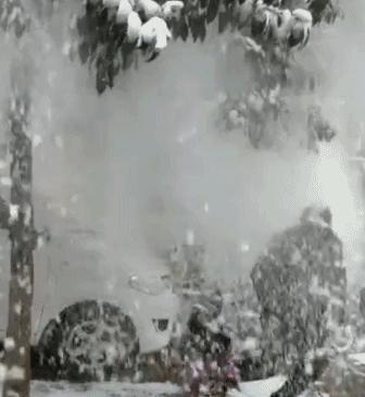 生孩子就是用来玩的经典句子,如果生孩子不是为了玩就毫无意义