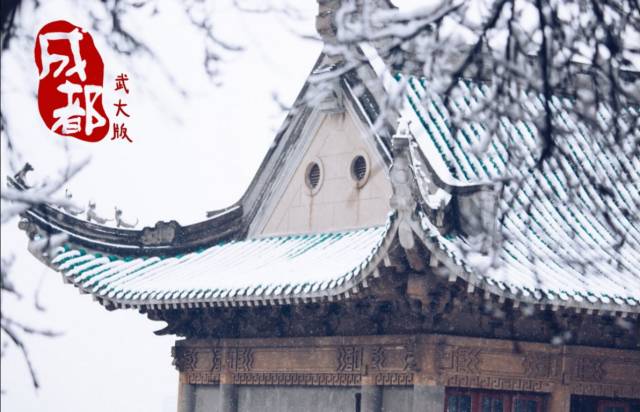 武大的歌曲视频,武大最好听歌曲