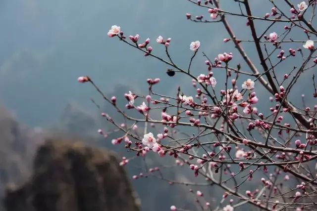 狼牙山龙门湖水上乐园闭园,狼牙山田园花海闭园时间