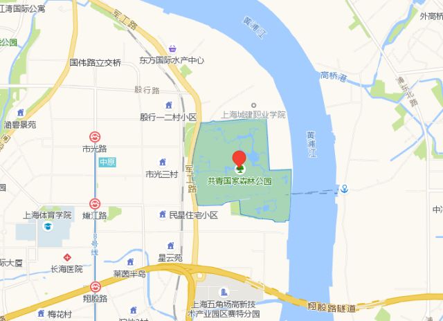 植树节去蚂蚁森林,植树节到