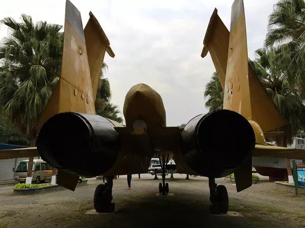 广东三八节门票免费的景点,三八女神节哪个旅游景区免票
