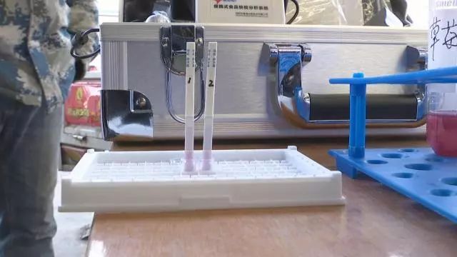 「消费那些事儿」市场上鲜嫩可口的草莓真的安全吗？不检测不知道，一检测……