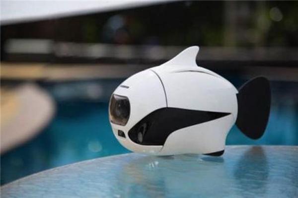 “潜龙二号”开年首潜引关注，鳍源科技领跑消费级水下机器人行业