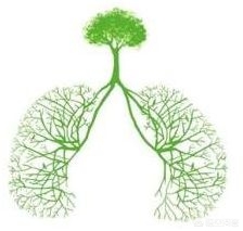 支气管扩张能治好吗,支气管扩张可以完全治愈吗