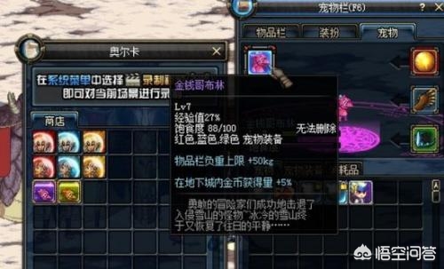 dnf2021至尊宠物和2022普通宠物,dnf历年颜值超高的宠物排行top6