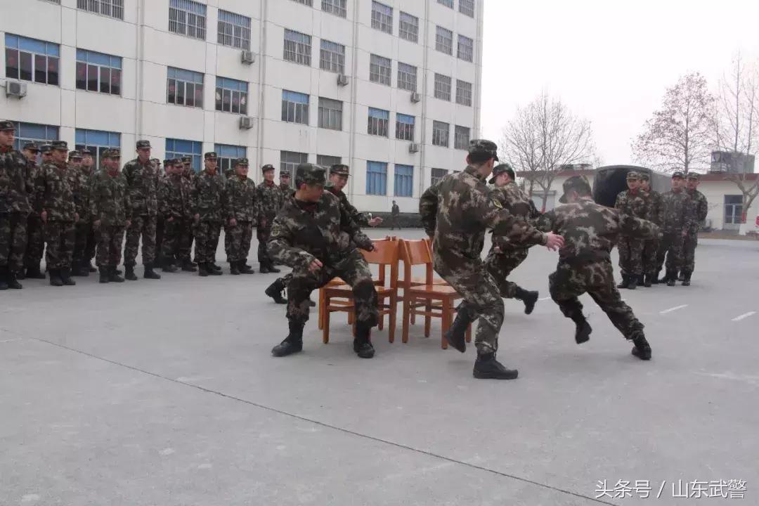 大年七天活动,过年氛围活动