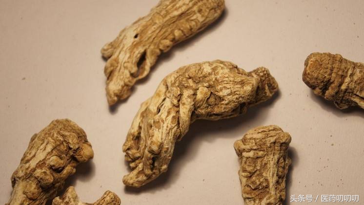 家庭常用中药食材,哪一类中草药适合做美食