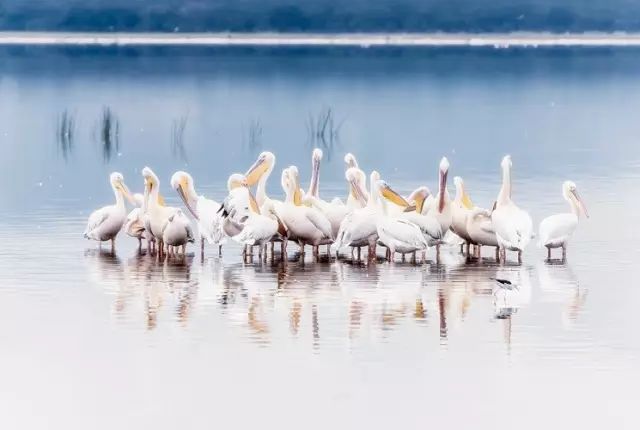 小众旅行目的地国外,热衷于寻找这些小众旅行目的地