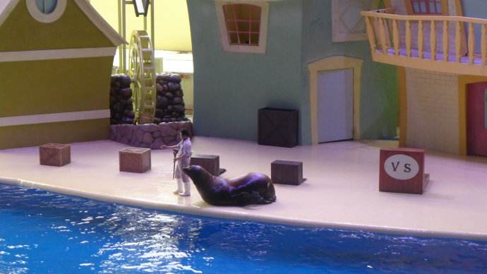 去珠海长隆海洋王国住哪里好,海昌海洋公园和长隆海洋王国