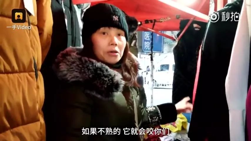 狗狗陪主人吃月子餐看见鸡汤,狗狗陪着主人吃饭