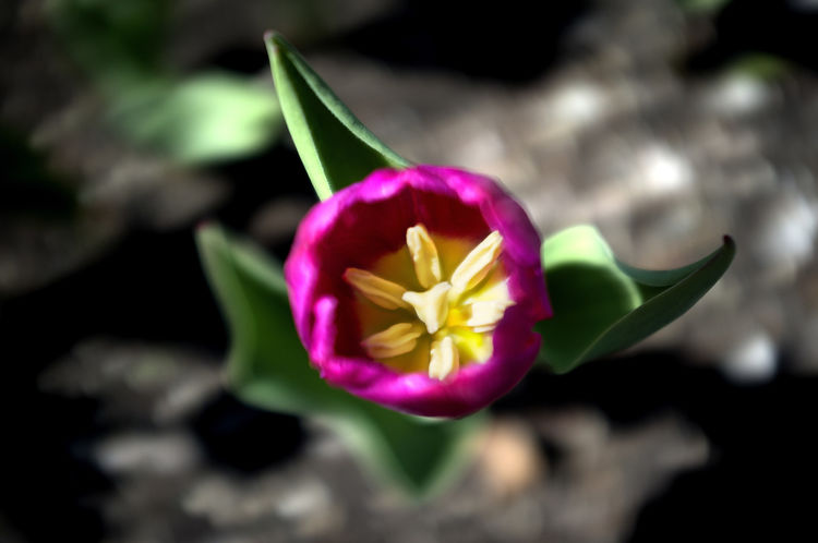 爱别等孝别迟寓意,爱别迟孝别等是什么意思