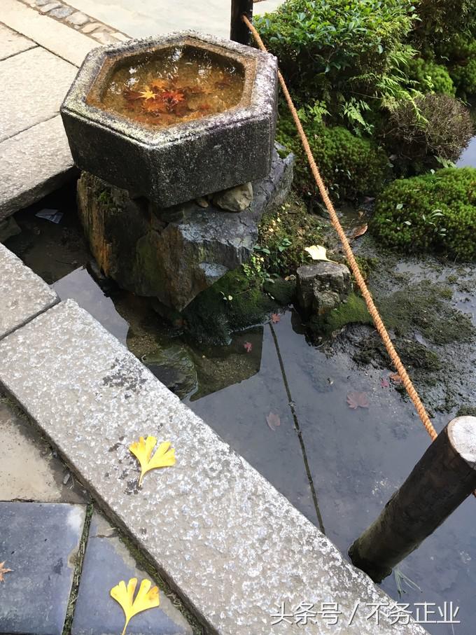 旅行|CoordinateBook06-No.535.0116°N,135.7680°E京都