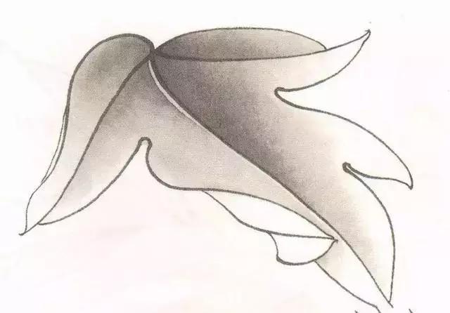 工笔画粉红花染色步骤,10分钟学会工笔画花朵染色