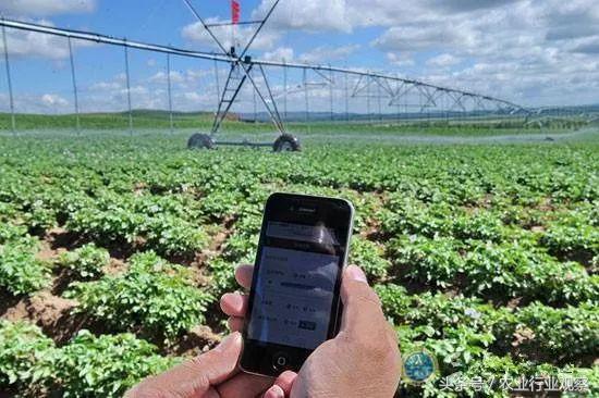 农业互联网发展趋势,互联网产业赋能