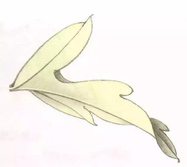 工笔画粉红花染色步骤,10分钟学会工笔画花朵染色