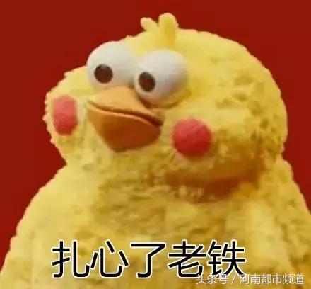 “我妈可能觉着我在外面会饿死！”打开返程后备箱，暖心又扎心！