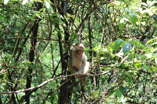 2022年春节张家界旅游须知,张家界2018旅游攻略图片