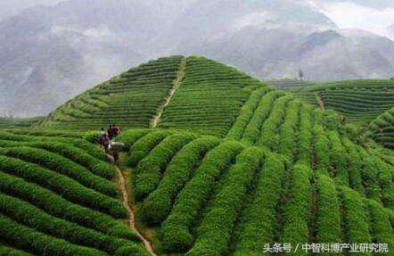 生态循环农业示范基地项目简介,循环农业项目怎么申报
