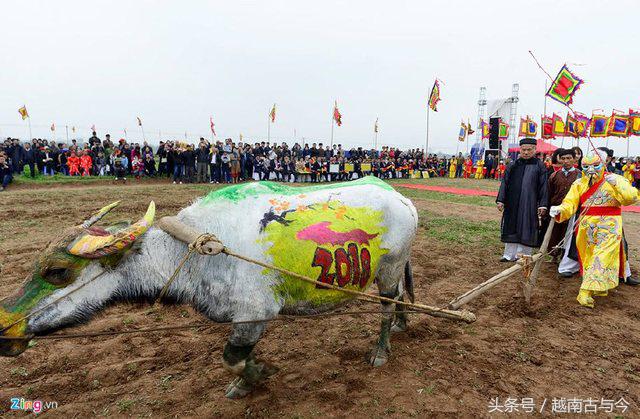 越南最重视的春节庙会，古代皇帝和现代国家元首都亲自下田干活