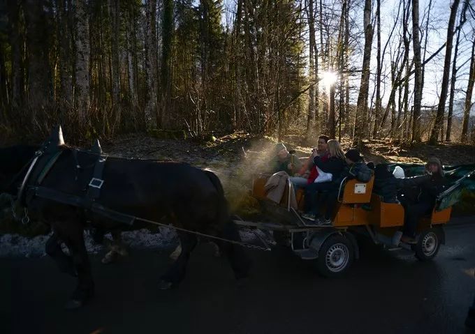 别再排斥跟团了之德国行，从哈布斯堡王朝，到雅历安血统